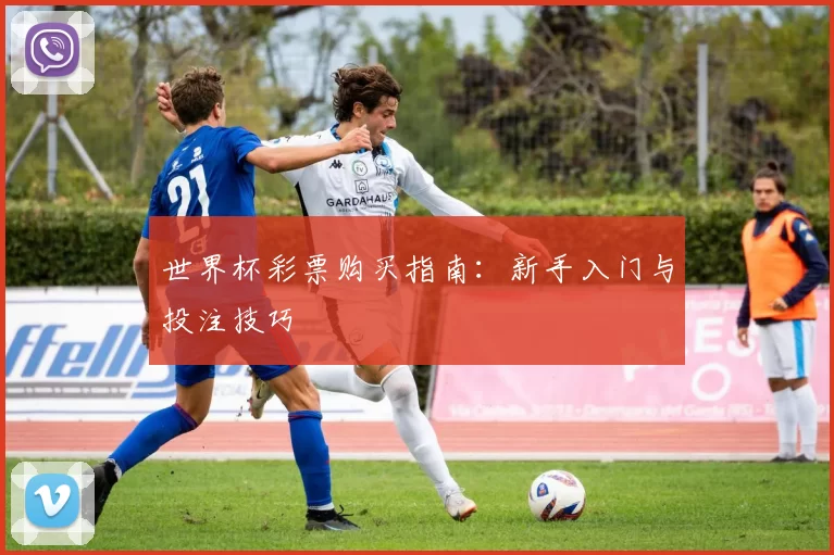 世界杯彩票购买指南：新手入门与投注技巧