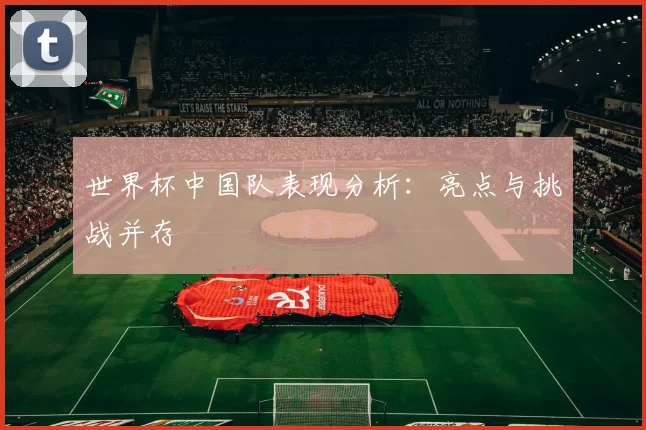 世界杯中国队表现分析：亮点与挑战并存