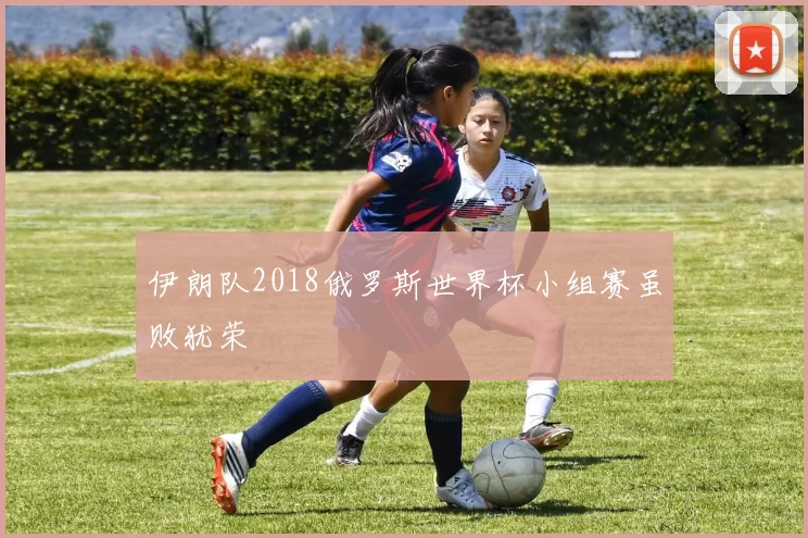 伊朗队2018俄罗斯世界杯小组赛虽败犹荣