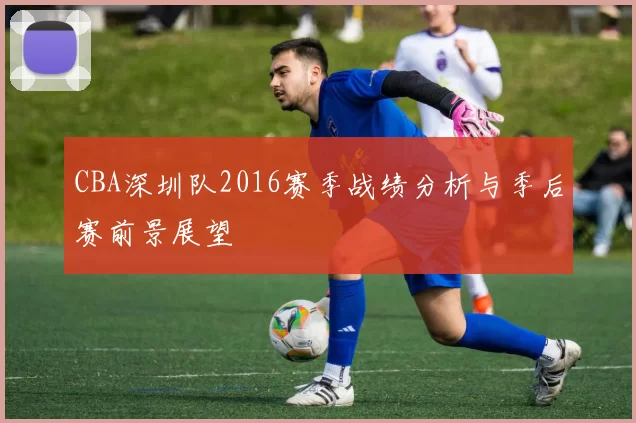 CBA深圳队2016赛季战绩分析与季后赛前景展望