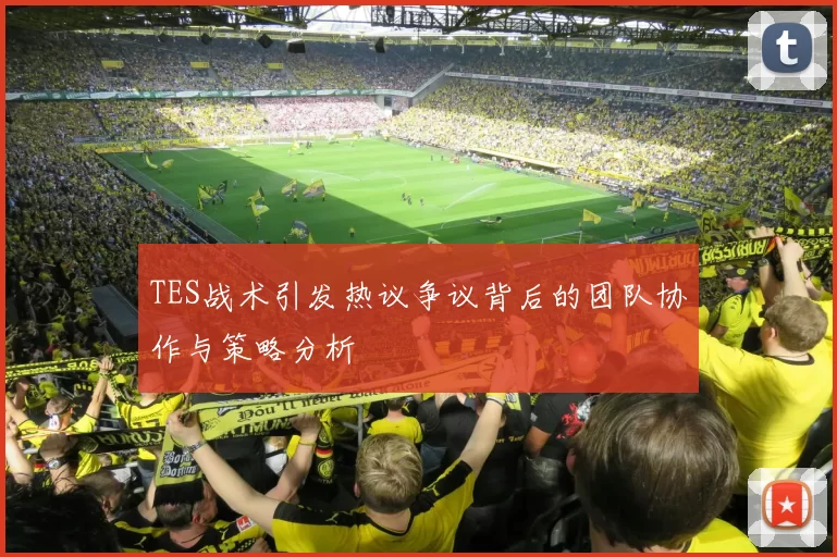 TES战术引发热议争议背后的团队协作与策略分析