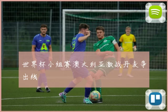 世界杯小组赛澳大利亚激战丹麦争出线