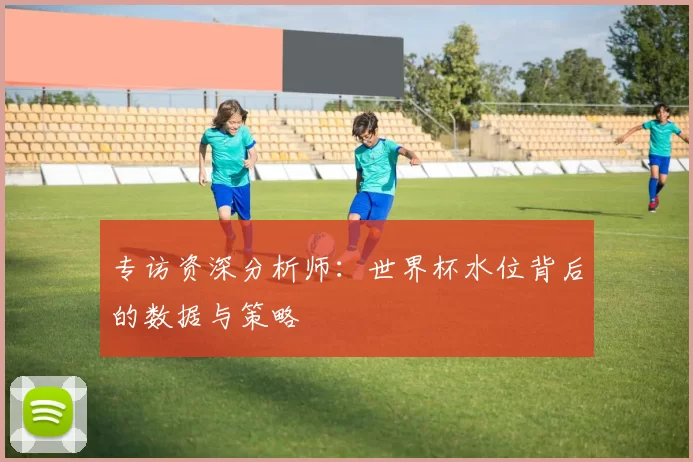 专访资深分析师：世界杯水位背后的数据与策略