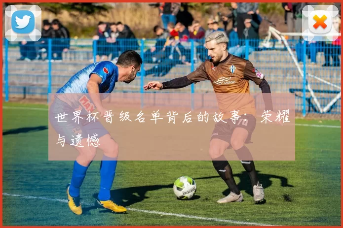 世界杯晋级名单背后的故事：荣耀与遗憾