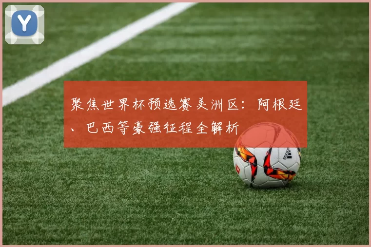 聚焦世界杯预选赛美洲区：阿根廷、巴西等豪强征程全解析