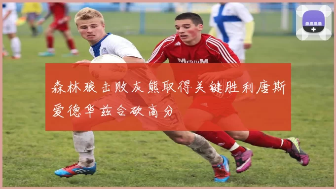 森林狼击败灰熊取得关键胜利唐斯爱德华兹合砍高分