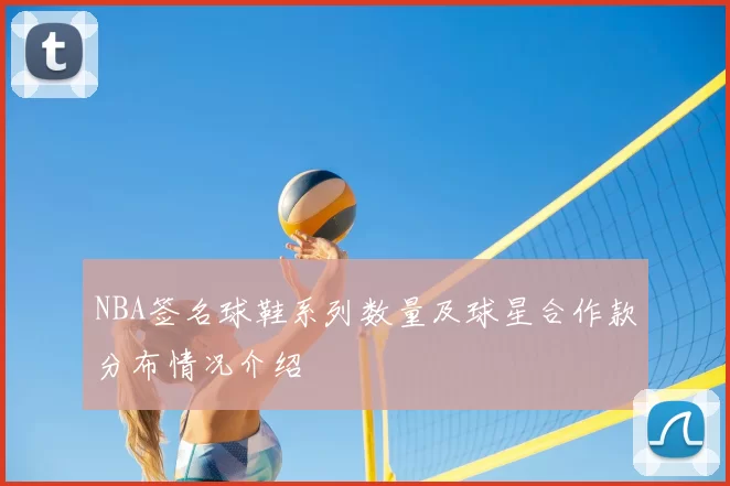 NBA签名球鞋系列数量及球星合作款分布情况介绍