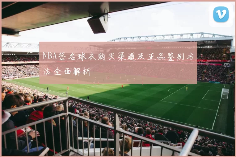 NBA签名球衣购买渠道及正品鉴别方法全面解析