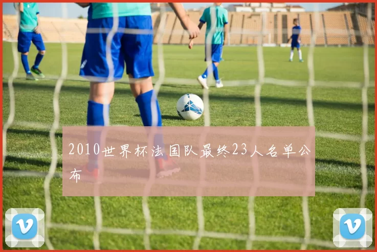 2010世界杯法国队最终23人名单公布