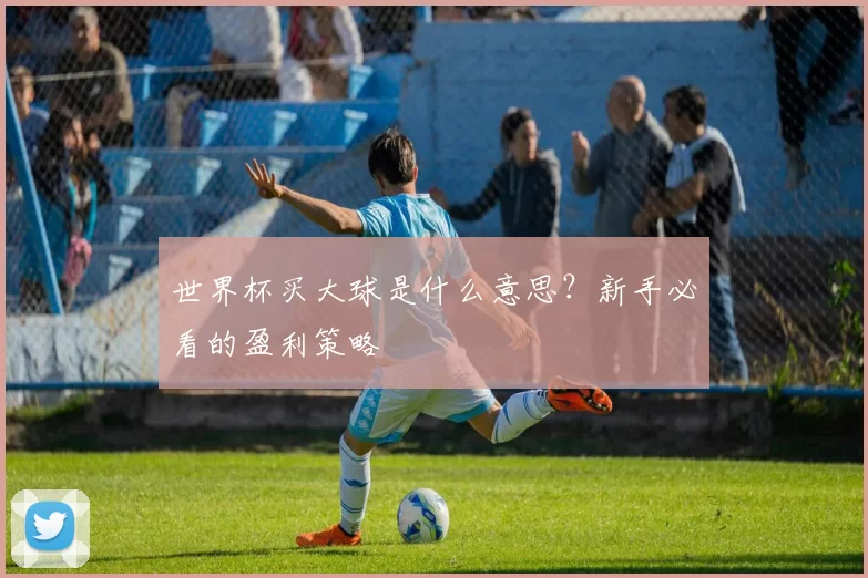 世界杯买大球是什么意思？新手必看的盈利策略