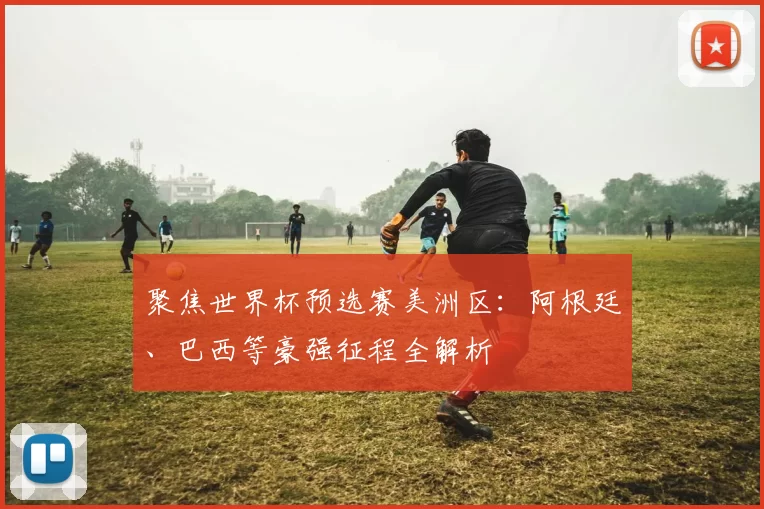 聚焦世界杯预选赛美洲区：阿根廷、巴西等豪强征程全解析