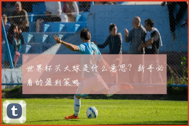 世界杯买大球是什么意思？新手必看的盈利策略