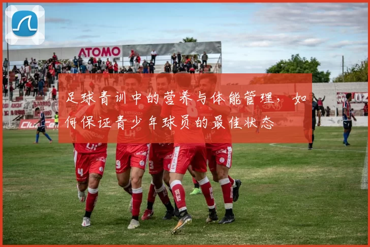 足球青训中的营养与体能管理，如何保证青少年球员的最佳状态